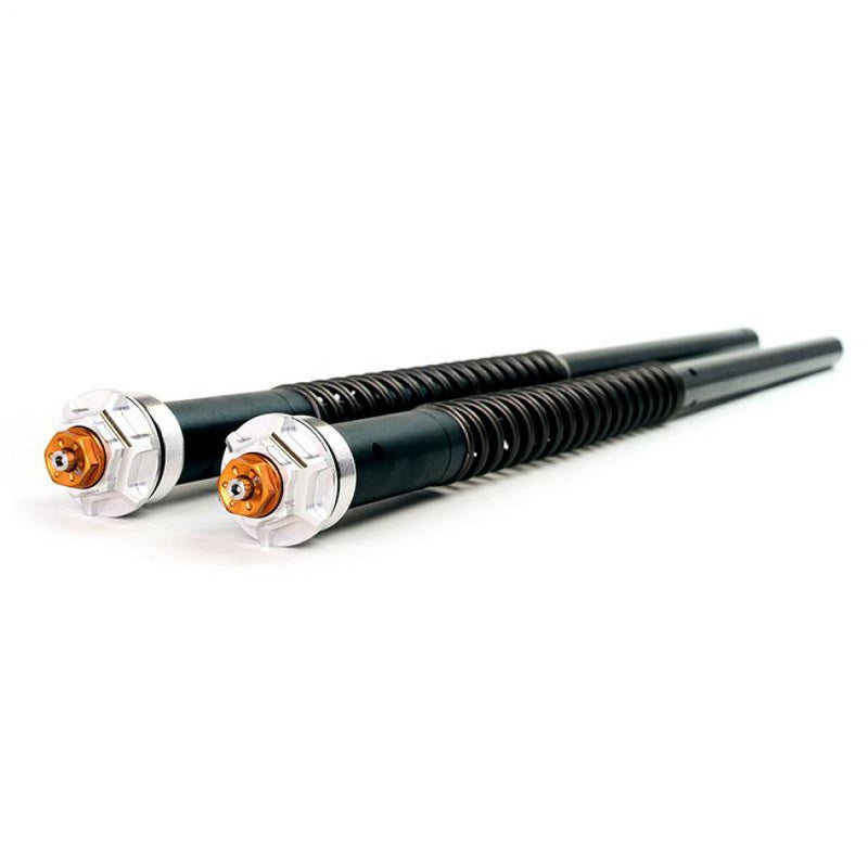 Fork Cartridge K1 K100-16V K1100 Series